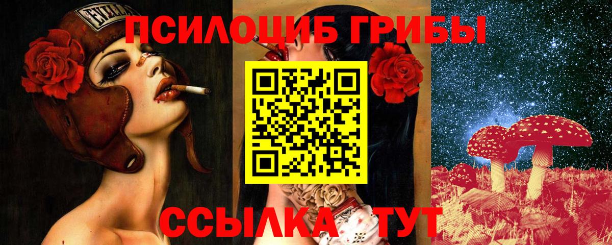 Галлюциногенные грибы GOLDEN TEACHER  Вход с VPN  Стрежевой  Псилоцибиновые грибы Psilocybe 